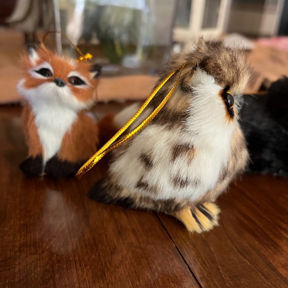 Adorable Owl - Picture 2 of 4